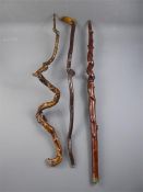 Miscellaneous Tree Branch Walking Sticks