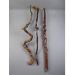 Miscellaneous Tree Branch Walking Sticks