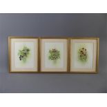 Three Original Nature Study Watercolours by Anne Lister