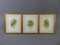 Three Original Nature Study Watercolours by Anne Lister