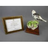 A Limited Edition Royal Worcester Bird Figurine.