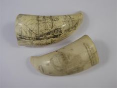 Marine Ivory Scrimshaw