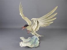 A Porcelain 'Forsters Tern Cresting' on a Wave