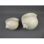 Two Wedgwood Etruria Porcelain Conch Shells