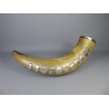 A German Bovine Trophy Horn