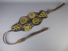 Six Vintage Horse Brasses on a Leather Martingale Strap