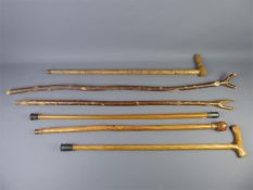 Five Miscellaneous Wood-Carved Walking Sticks