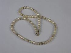 A Lady's Pearl Necklace