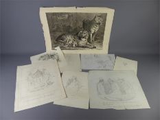 A Quantity of Pencil Drawings and Caricatures