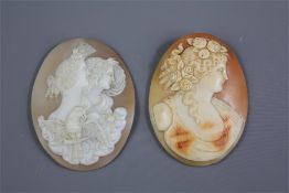 Two Victorian Shell Cameo Brooches