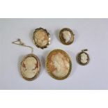 A Quantity of Shell Cameo Brooches and Pendant