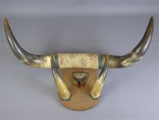 A Pair of Bovine Horns