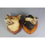 A Taxidermy Badger and Fox
