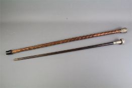 Two Antique Walking Sticks