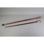 Two Antique Walking Sticks