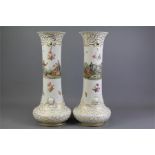 A Pair of Victorian Vases