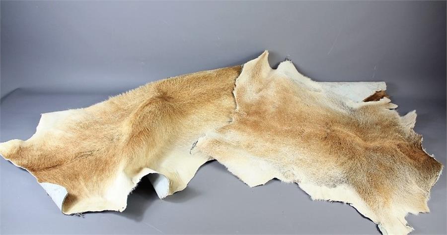 Four Cow Hides