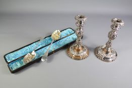 A Pair of 19th Century Silver-Plated Berry Spoons