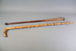 Two Vintage Walking Canes