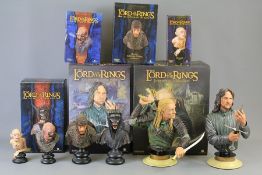Lord of The Rings Trilogy Interest