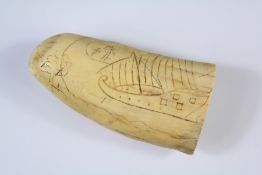 A Scrimshaw Whale Tooth