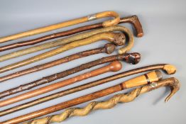 Ten Handcrafted Walking Sticks