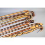 Ten Handcrafted Walking Sticks