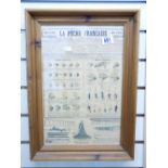 FRAMED FRENCH NEWSPAPER CUTTING, FISHING FLIES 36 X 51 CMS