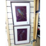 2 X PARROT PAINTINGS ON SILK