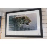 LIMITED EDITION PRINT 15 / 300 'LEOPARD STUDY' BY FUZ CAFORIO 70 X 99 CMS