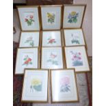 SET OF 11 FLORAL PRINTS