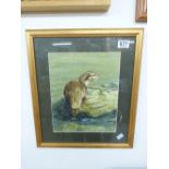 MICHAEL JEVENS WATER COLOUR OF AN OTTER