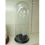 VICTORIAN FRENCH GLASS DOME ON EBONISED BUN FOOT BASE 56 CMS