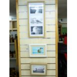 3 X AMANDA LANE FRAMED PHOTOGRAPHS