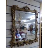 GILT FRAMED, BEVELLED MIRROR 44 X 58 CMS