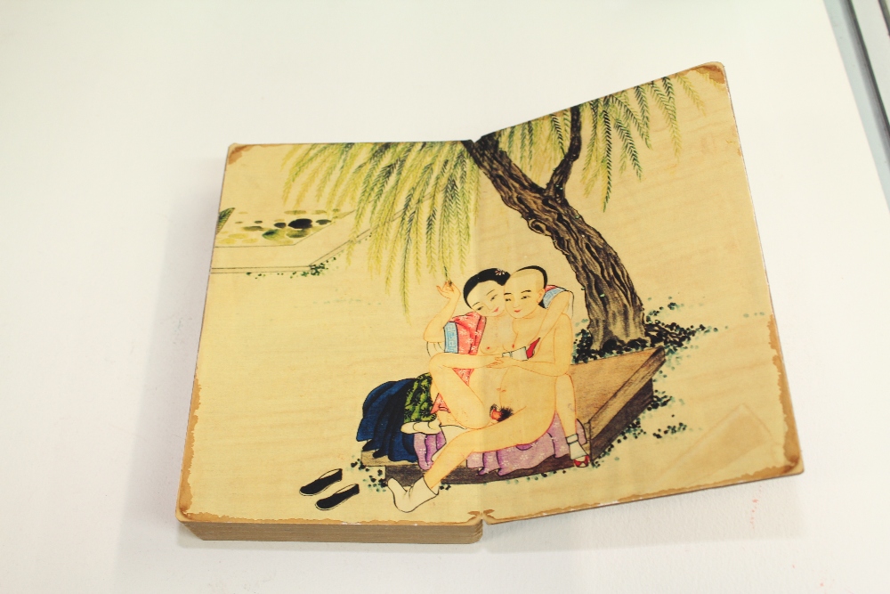 ORIENTAL FOLDING RISQUE BOOK - Image 2 of 6