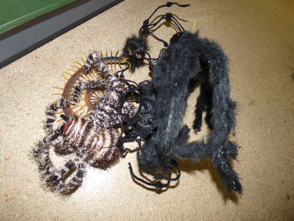 QUANTITY OF HALLOWEEN TOY SPIDERS, RATS & BUGS - Image 3 of 3
