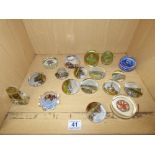COLLECTION OF GLASS PAPERWEIGHTS
