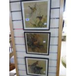 3 X FRAMED & GLAZED PRINTS OF BIRDS