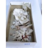 QUANTITY OF WHITE CORAL & SHELLS