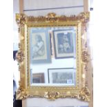 BEVEL EDGE GILDED MIRROR 70 H X 60W CMS