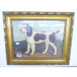 FRAMED & GLAZED PRINT OF A SPANIEL IN A GILT FRAME H 42CM X W 52CM