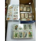 QUANTITY OF CIGARETTE CARDS & AMERICAN COLLECTORS CARDS