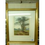 JOHN HOLDING DRAWING OF A PARKLAND SCENE WITH DEER, SIGNED 31 X 25 CMS