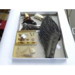 QUANTITY OF TAXIDERMY ITEMS & OTHERS