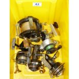 COLLECTION OF VINTAGE FISHING REELS