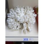 PIECE OF FARMED WHITE CORAL