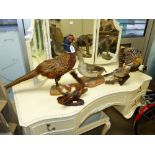 FOUR TAXIDERMY BIRDS INCLUDING A PHEASANT AND A DUCK, ALSO A RED SQUIRREL. LARGEST PIECE IS 44 CM