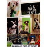 Dog postcards x 31. Early period. mixed condition. Inc. D.Tempest x1, a few RP, 2 x novelty (glitter