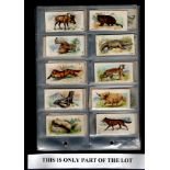 Players Wild Animals of the World set 50, vg cond cat £150